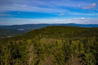 mavi gökyüzü altında güneşli orman ın yükseltilmiş görünümü
