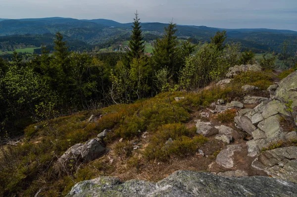 Blick Auf Felsen Grünen Wald Szene Mit Sonnenlicht — Stockfoto