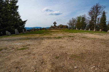 parlak güneş ışığı ile yeşil orman sahnesinde taş çapraz