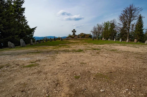 parlak güneş ışığı ile yeşil orman sahnesinde taş çapraz