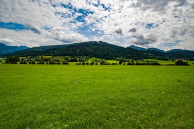 Idyllic manzara, Avusturya Alplerinde çayır