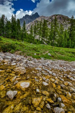 Avusturya Alplerindeki dağ deresi