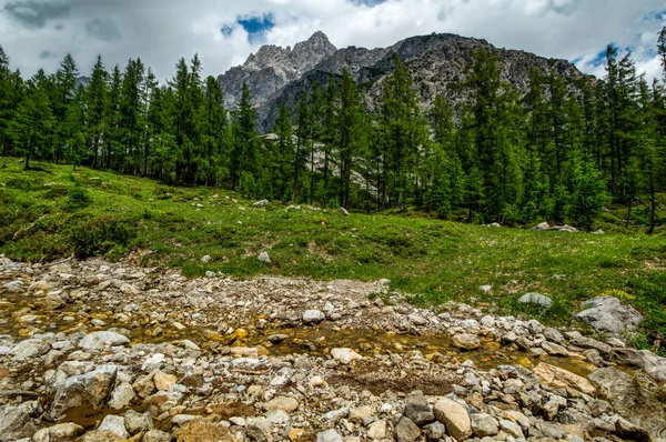 奥地利阿尔卑斯山中的山溪 — 图库照片