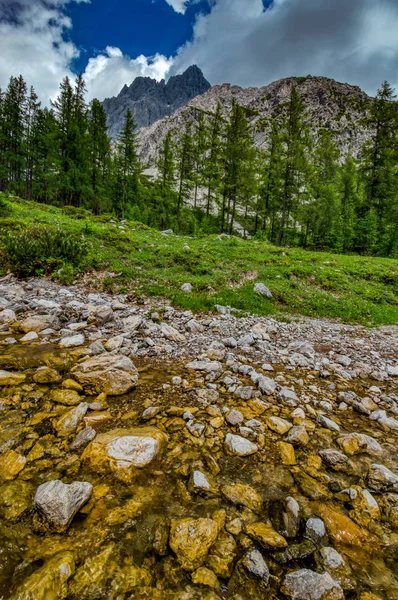 Avusturya Alplerindeki dağ deresi