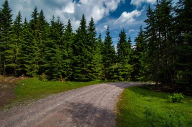 Avusturya Alplerinde küçük dağ yolu