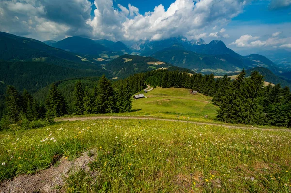 Paisaje Alpino Prado Verde Cielo Azul —  Fotos de Stock