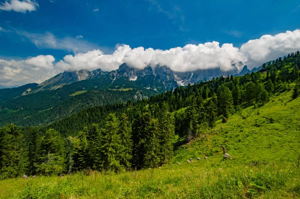 Alpejski Krajobraz Zielona Łąka Błękitne Niebo — Zdjęcie stockowe