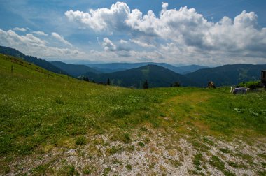 Alp manzarası, yeşil çayır ve mavi gökyüzü.