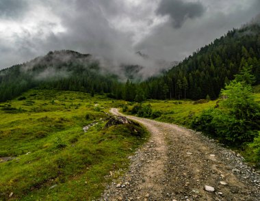 Avusturya Alplerinde küçük dağ yolu