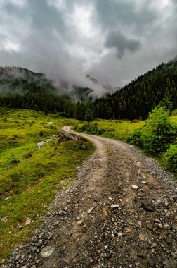Avusturya Alplerinde küçük dağ yolu