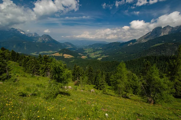Alpská Krajina Zelená Louka Modrá Obloha — Stock fotografie