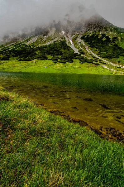 Alpine Landschaft Mit Grünen Wiesen — Stockfoto