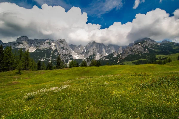 Alpine Lansekap Padang Rumput Hijau Dan Langit Biru Stok Lukisan  
