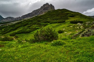 koyu bulutlu gökyüzü altında çalılar ile yeşil tepe