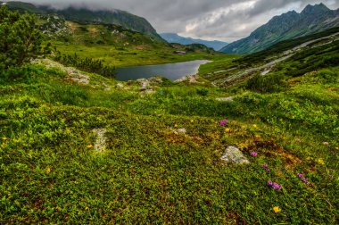 arka planda çiçekler ve dağlık göl ile yemyeşil çim
