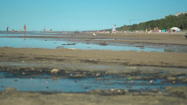 Close-up of dirty waste water and polluted sand with people relaxing nearby — Stock Video