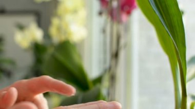 Hasarlı kol cilt ve parmak yağ nemlendirici krem sürtünme tarafından Cilt Bakımı