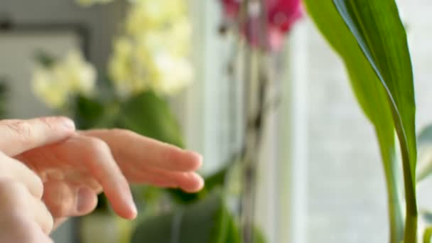 Teenager sta strofinando le mani applicando crema di protezione solare al braccio primo piano — Video Stock