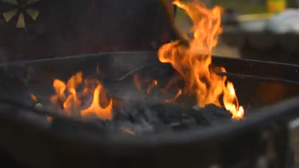 Gill churrasco fogo carvão closeup sendo tocado misturado por pau de madeira — Vídeo de Stock