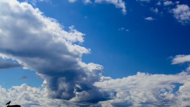 Epica drammatica nuvole piovose tempestose che si muovono verso lo spettatore da timelapse mare — Video Stock