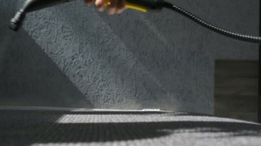 El kanepe bir buharlı temizleyici ile temizliyor. Ev temizlik kavramı.