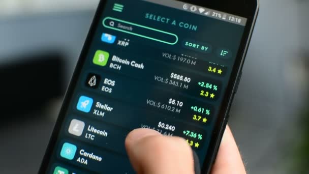 Bitcoin cryptocurrency portfolió lista Ethos univerzális mobil pénztárca ellenőrzése — Stock videók