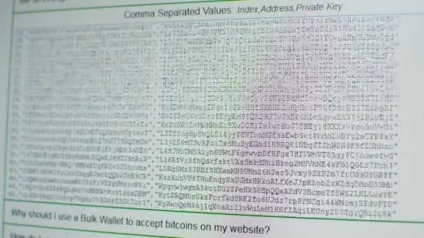 Desplazamiento a través de miles de direcciones Bitcoin generadas, claves privadas y públicas — Vídeos de Stock