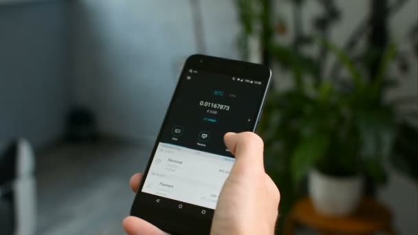 Controleren van Bitcoin wallet saldo op de mobiele telefoon, uw eigen bank in een smartphone-concept — Stockvideo