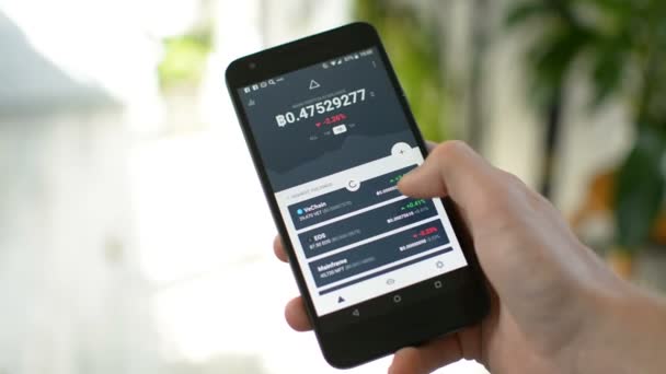 Cryptocurrency portföy dengesini mobe App kontrol — Stok video