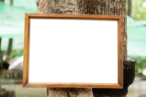 Prázdný dřevěný rám zavěšený na stromě — Stock fotografie