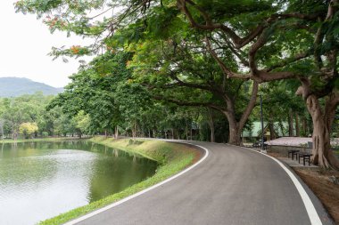 Parkta sol tarafta göl ile Walkway yolu