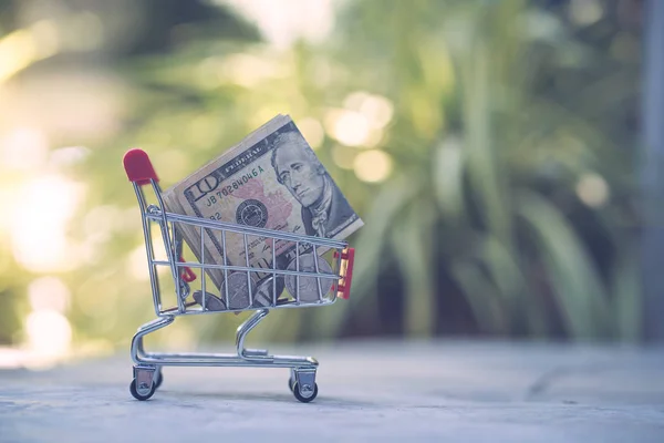 Carrito de compras con billete de dólar USD —  Fotos de Stock