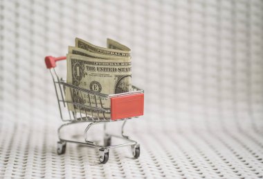 Amerikan Doları banknot ile alışveriş sepeti