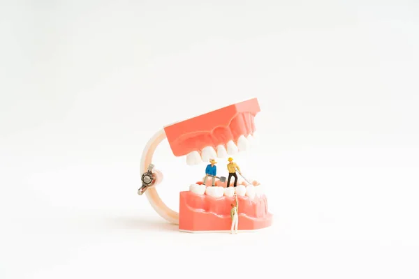 Miniaturarbeiter und zahnärztliches Modell. Zahnpflegekonzept Stockbild