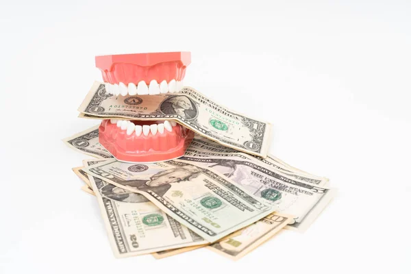 Dental model with US dollar Royalty Free Stock Photos