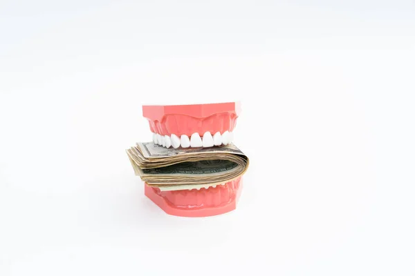 Modello dentale con dollaro USA — Foto Stock