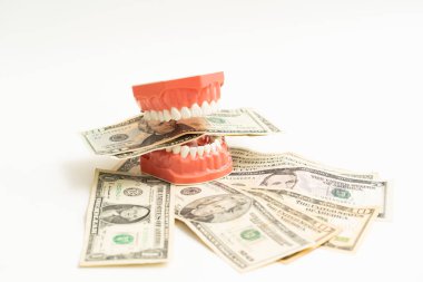 Abd Doları ile Diş Modeli