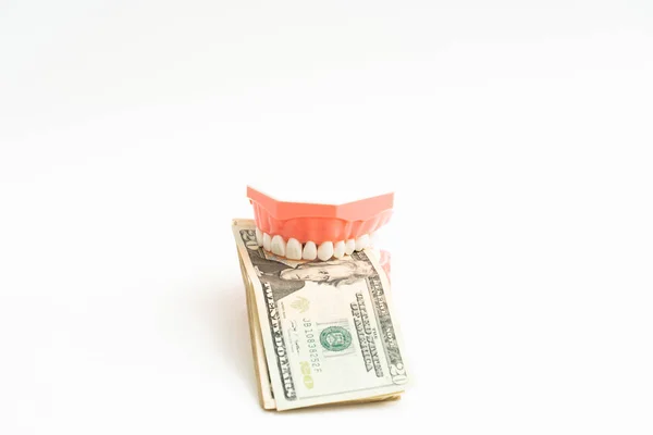 Стоматологическая модель с долларом США — стоковое фото