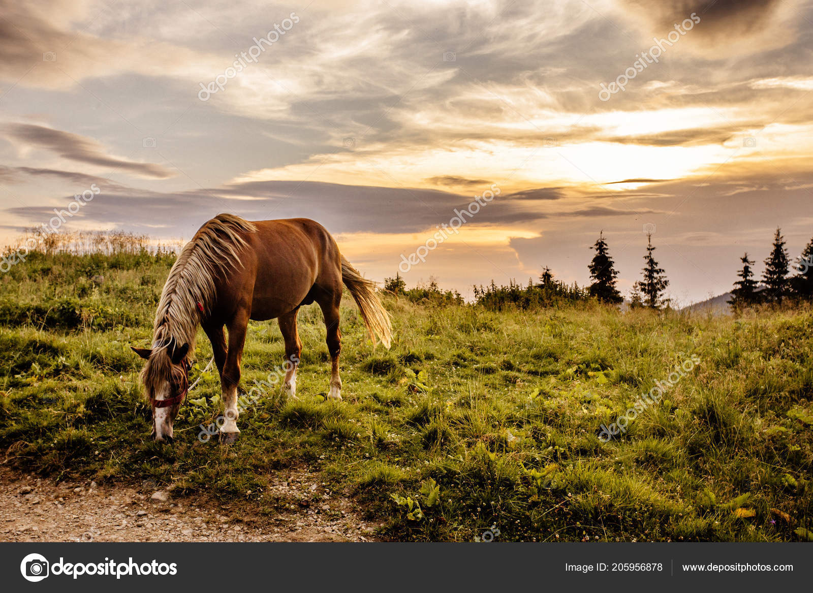 Background Beautiful Nature Mountains Sunset Photo by ©fedoriv.igor 205956878