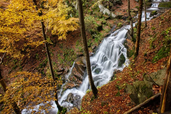 Río Montaña Bosque Otoñal Entre Los Árboles Amarillos — Foto de Stock