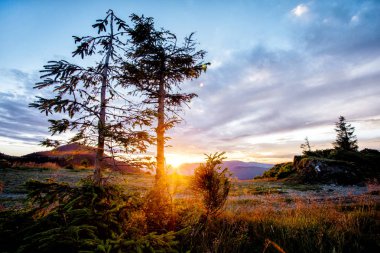 Sıcak yaz havalarda Carpatian dağlarda günbatımı