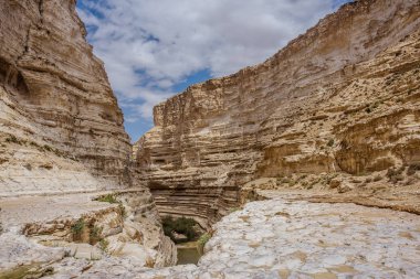 Ein Avdat - Kanyon Negev Çölü'nde 