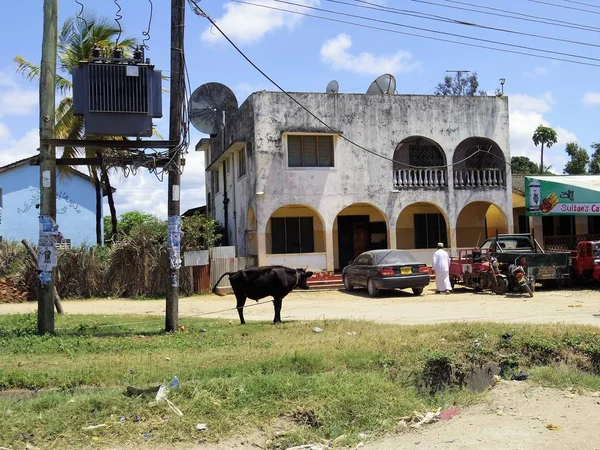 Mombaça Província Costeira Circundante Fotografia Rua 2018 — Fotografia de Stock