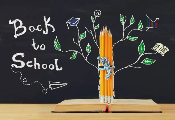 Bck to school concept. tree of knowledge sketch and pencils over open book in front of classroom blackboard