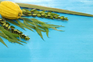 Sukkot Yahudi bayramı. Geleneksel Semboller (dört tür): Etrog, lulav, hadas, arava