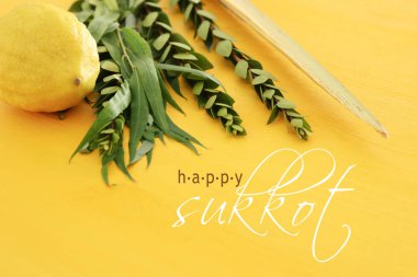 Sukkot Yahudi bayramı. Geleneksel Semboller (dört tür): Etrog, lulav, hadas, arava