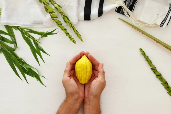 Festival Judío Sukkot Símbolos Tradicionales Las Cuatro Especies Etrog Lulav —  Fotos de Stock