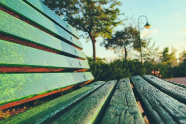 kentsel park yeşil ahşap Bank, günbatımı zamanı sırasında yakın çekim
