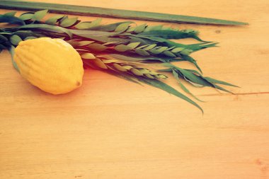 Sukkot Yahudi bayramı. Geleneksel Semboller (dört tür): Etrog, lulav, hadas, arava