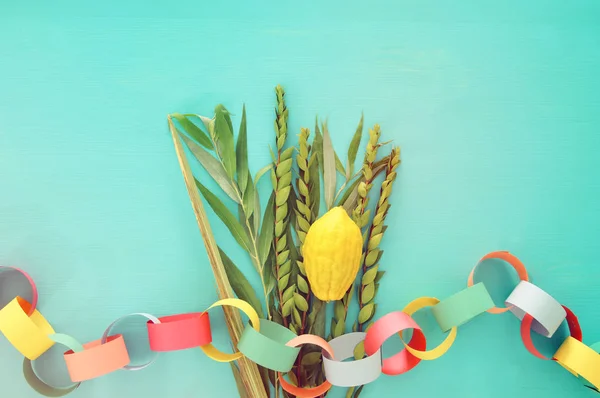 Zsidó fesztivál Sukkot. Hagyományos szimbólumok (a négy faj): Etrog, lulav, a hadas, arava. — Stock Fotó